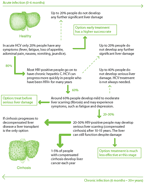 HCV progression in HIV-positive people