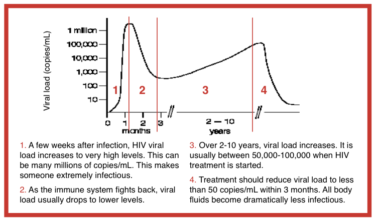 Hiv Risk Chart