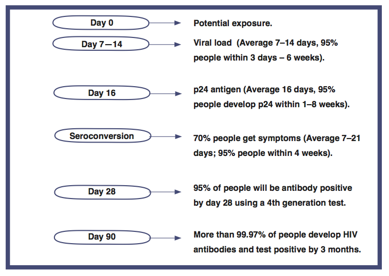 What Is The Window Period For An Hiv Test Guides Hiv I Base