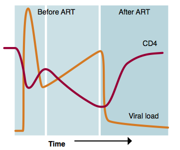 Cd4 And Viral Load Chart