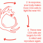 Whent not on treatment your immune system works in overdrive