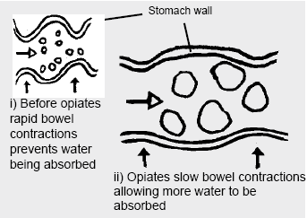 i) Before opiates rapid bowel contractions prevents water being absorbed ii) Opiates slow bowel contractions allowing more water to be absorbed