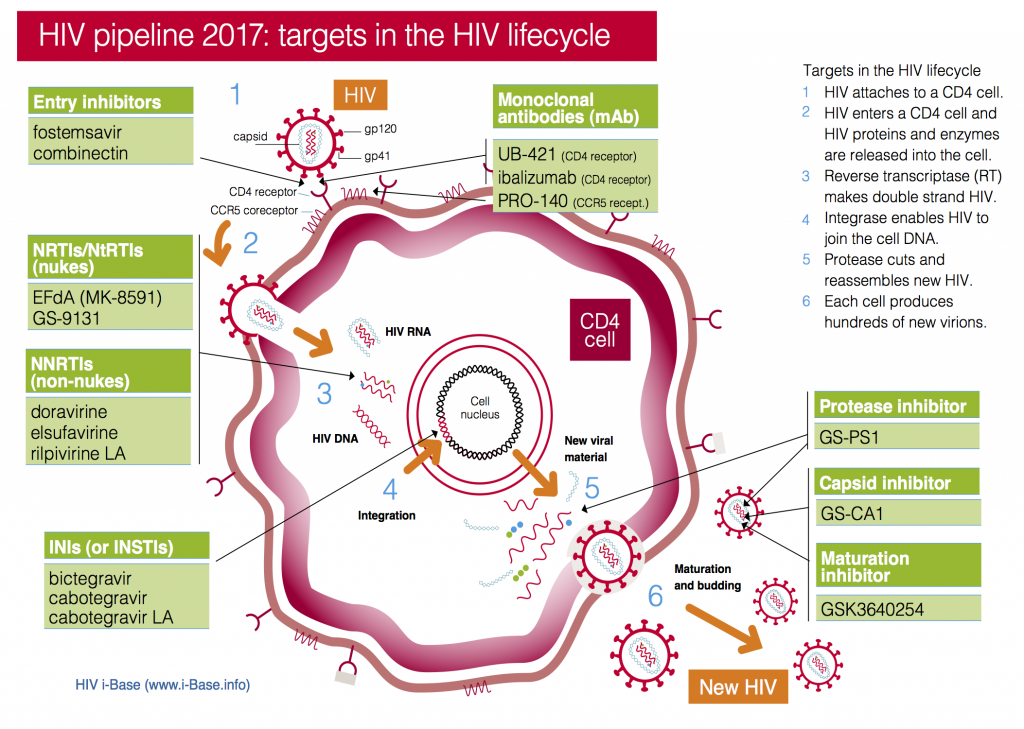 Viral lifecyle and drug targets slide 2017