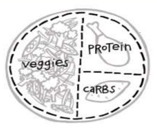 Food plate - half veg, a third protein, 1 fifth carbs