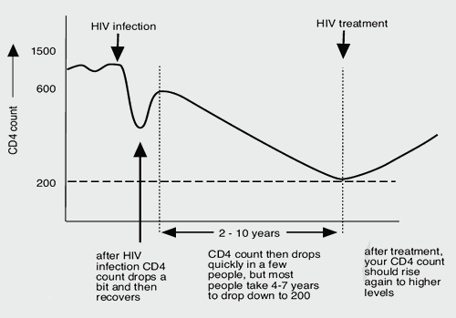 Cd4 Cell Picture Only