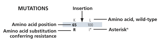 IAS-USA key 2013